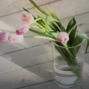 Meet your Posher, Henry